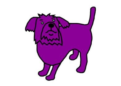 Fergus the Purple Dog