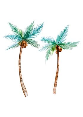 Palm trees