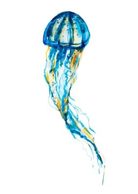 Jellyfish