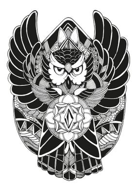 Owl