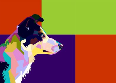 Colorful halfbody dog