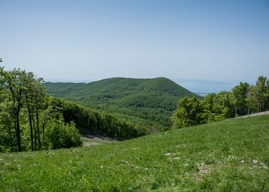 Green mountains 