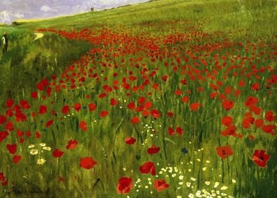 Meadow with Poppies