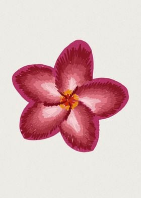 Plumeria Botanical Art