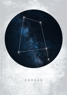 Corvus