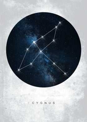 Cygnus