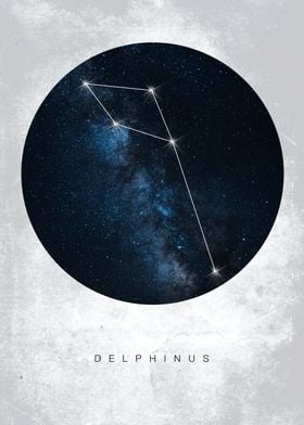 Delphinus