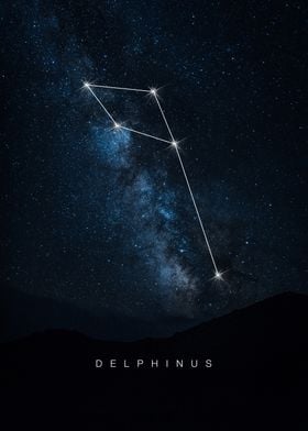 Delphinus