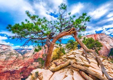 On the Edge of Zion