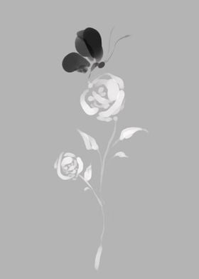 White Rose Black Butterfly