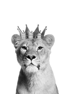 Lioness with crown