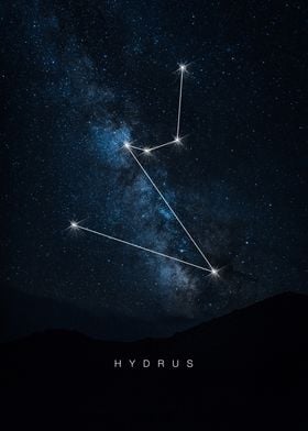 Hydrus