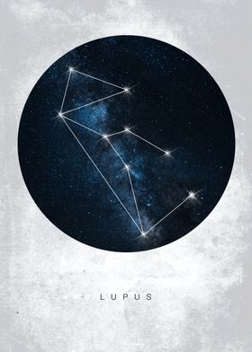 Lupus