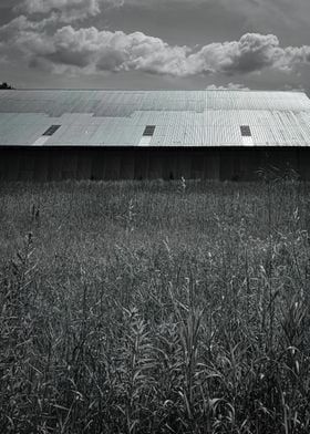 Metal Roof