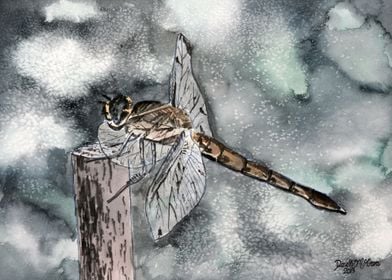 Dragonfly Watercolor Art