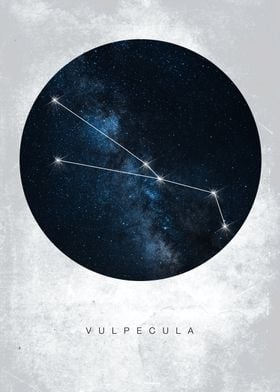 Vulpecula