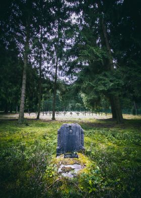 The Abandoned Cemetery