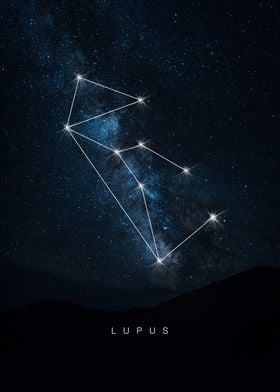 Lupus