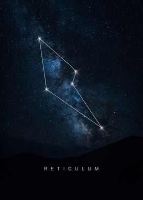 Reticulum