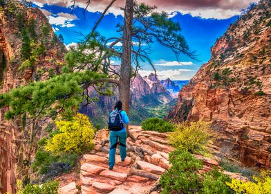 The Steps of Zion