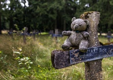 Mr Bear on a cemetery