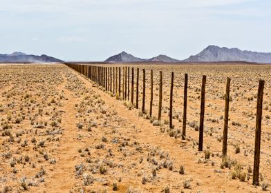Desert Fence