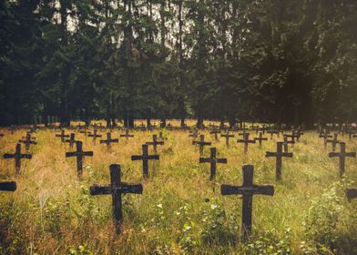 Abandoned Cemetery