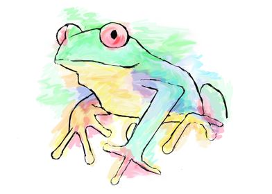 Rainforest  Tree Frog