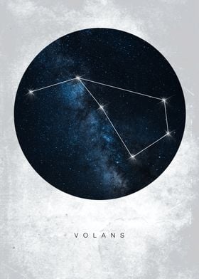 Volans