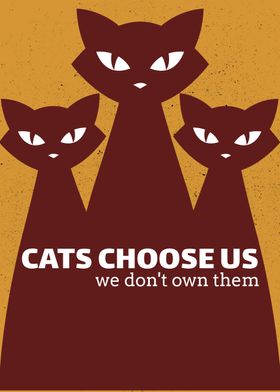 Cats Choose Us