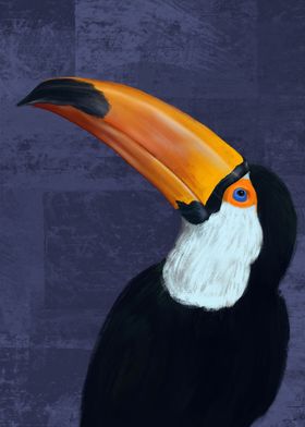 Toucan