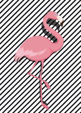 Flamingo