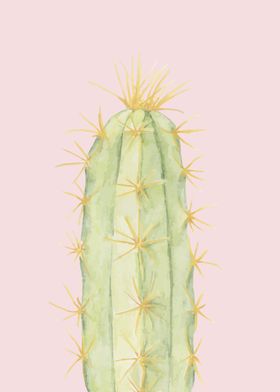 Cacti Watercolor