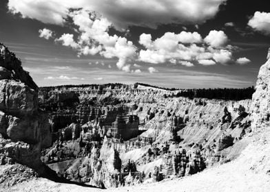 Bryce Canyon Monochrome