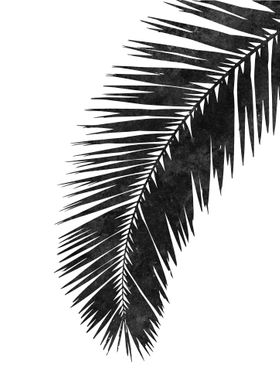 Palm tree leaf