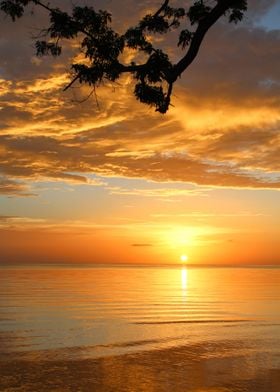 A golden sunset