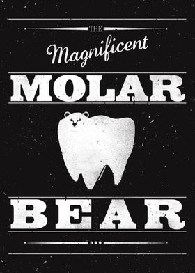 The Magnificent Molar Bear