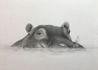 Serengeti submerged hippo