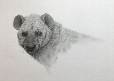 Serengeti hyena