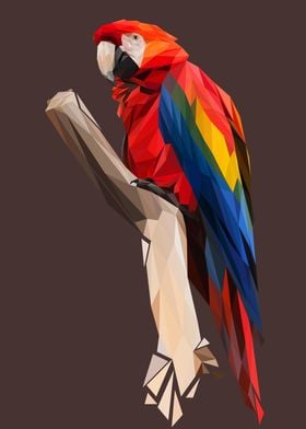 Parrot