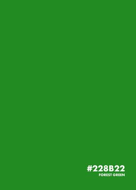 Forest Green