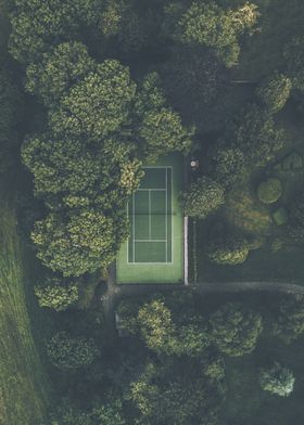 Tennis In The Forest