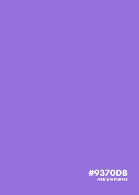 Medium Purple