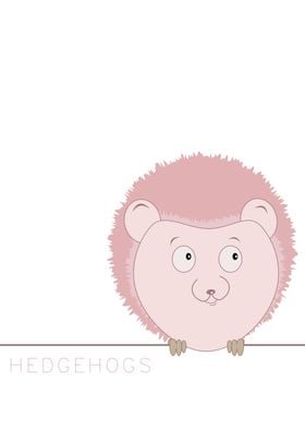 Hedgehogs