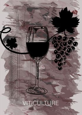 Vineyard and Wine