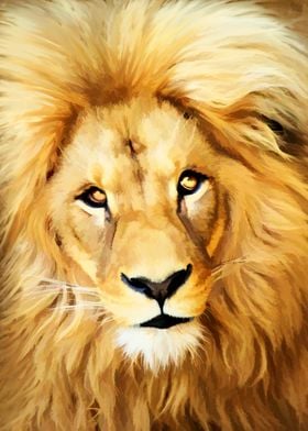 Lion portrait