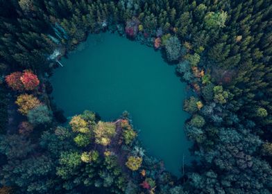 Lake in the forest