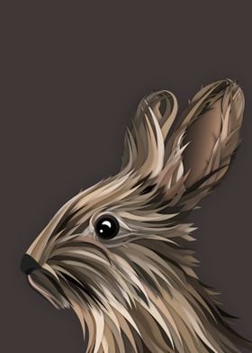 Rabbit illustration