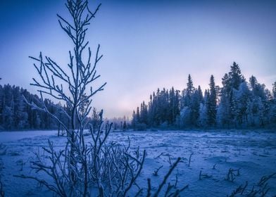 Finland Winter Landscape