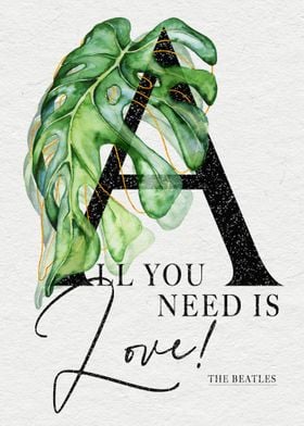 All You need is Love